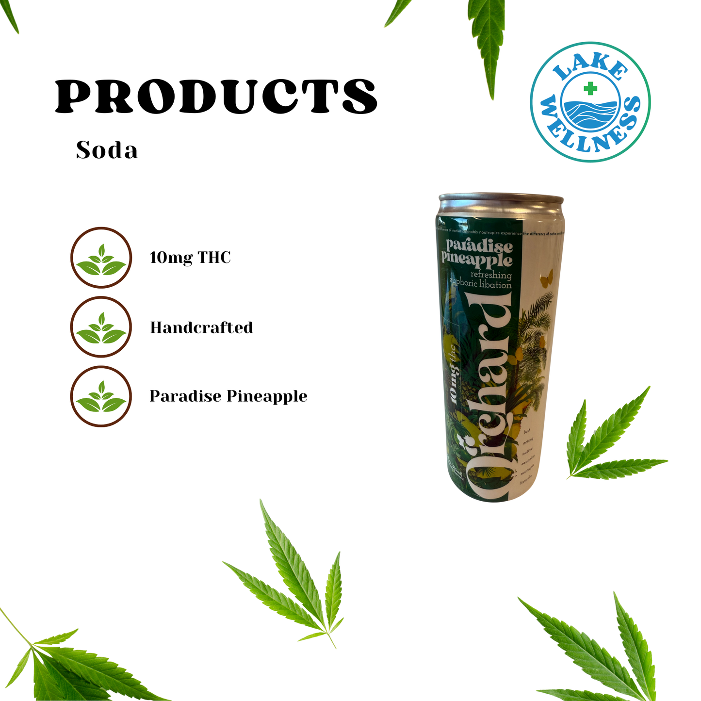 Paradise Pineapple 10mg Thc Soda