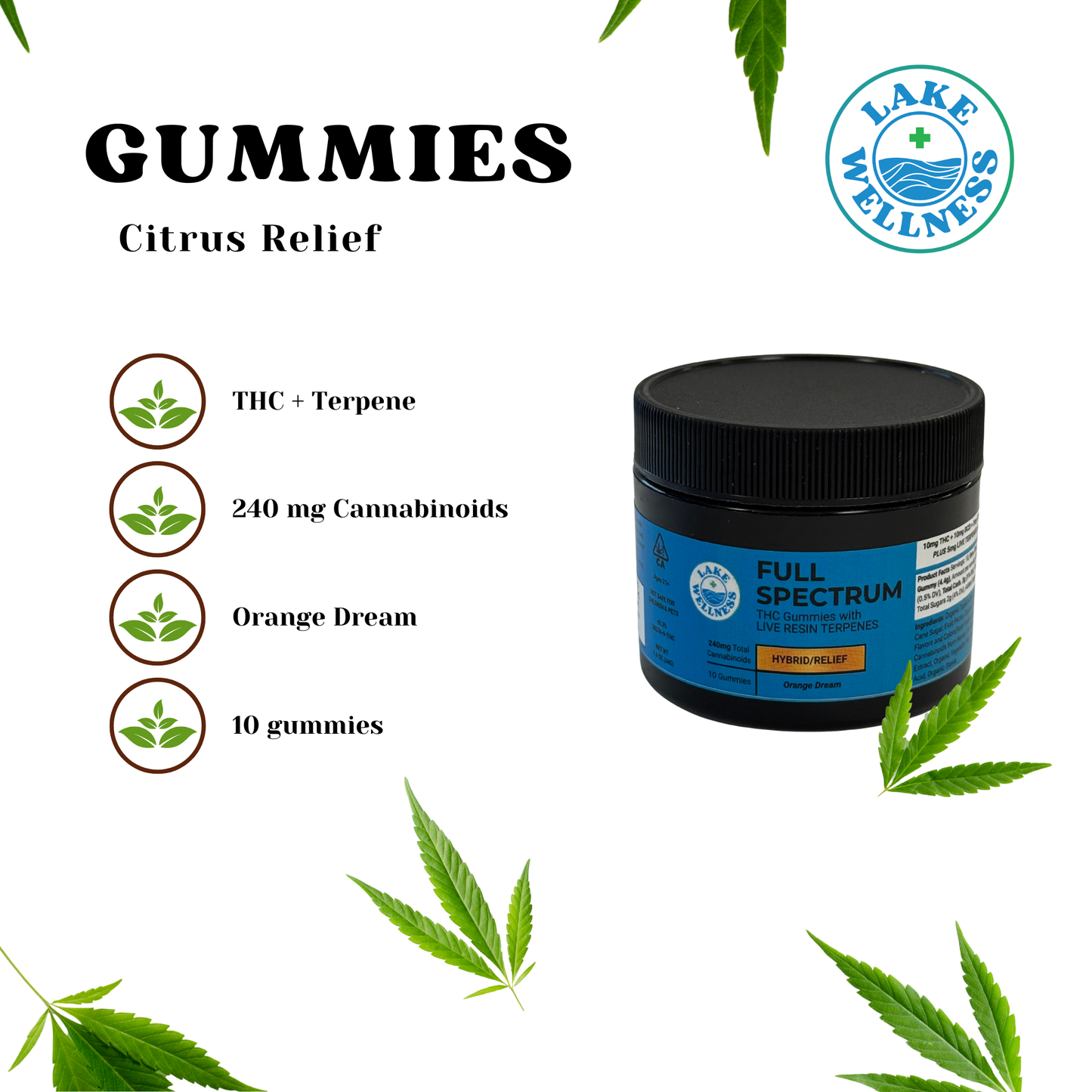 Orange Dream Hybrid/Relief