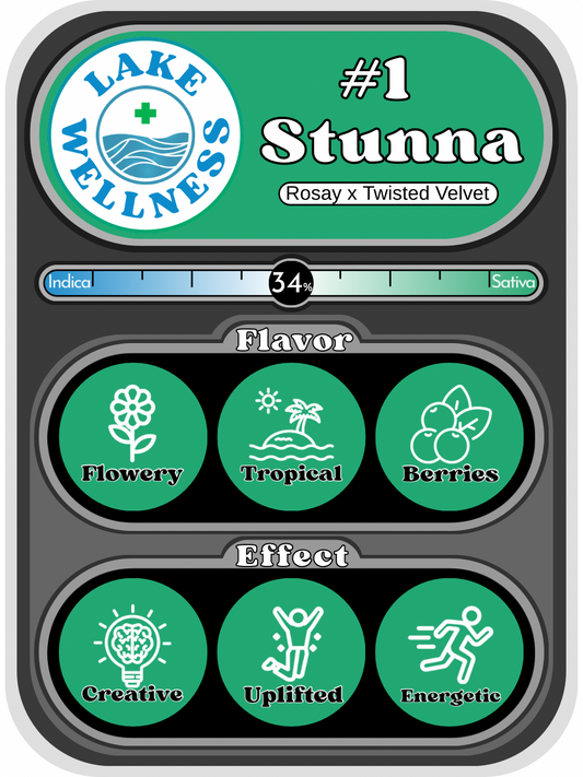 #1 Stunna