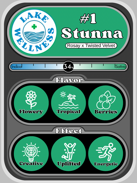 #1 Stunna