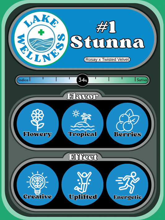 #1 Stunna