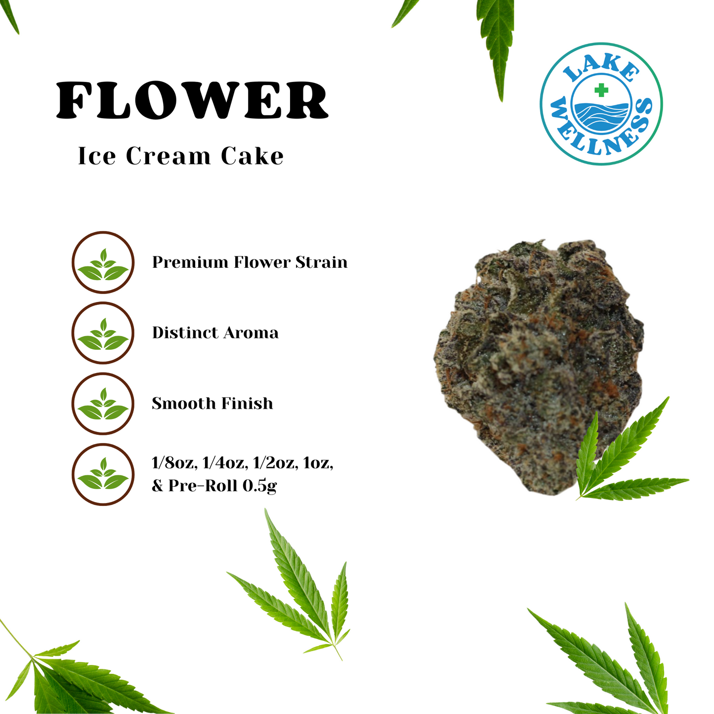 Ice Cream Cake